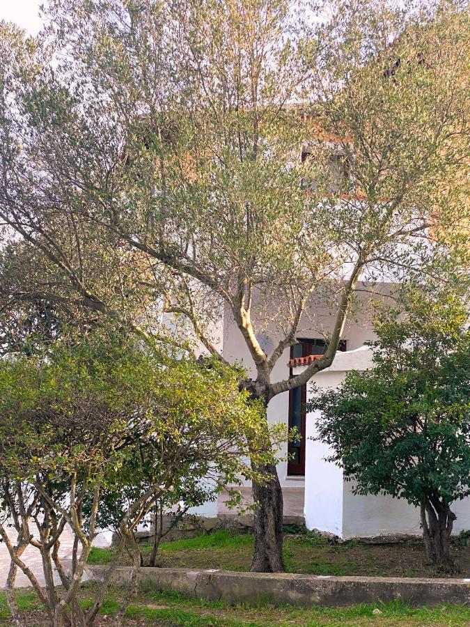 Casa Vacanza Porta Smeralda 奧爾比亞 外观 照片