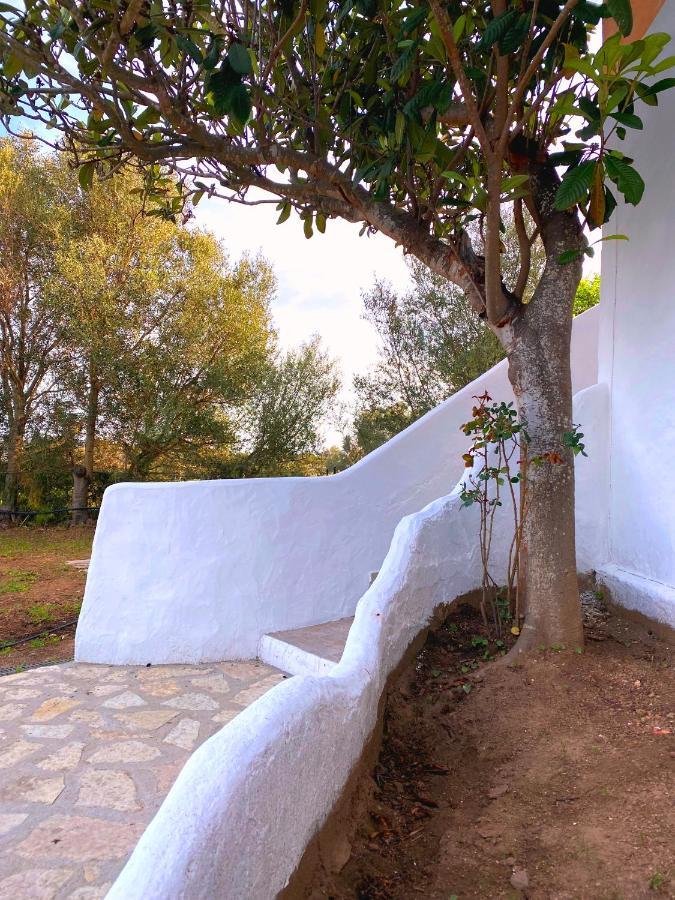 Casa Vacanza Porta Smeralda 奧爾比亞 外观 照片