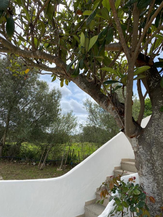 Casa Vacanza Porta Smeralda 奧爾比亞 外观 照片