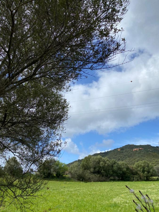 Casa Vacanza Porta Smeralda 奧爾比亞 外观 照片