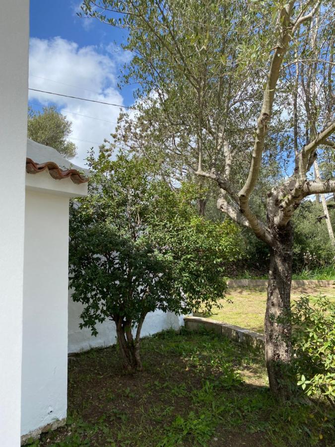 Casa Vacanza Porta Smeralda 奧爾比亞 外观 照片
