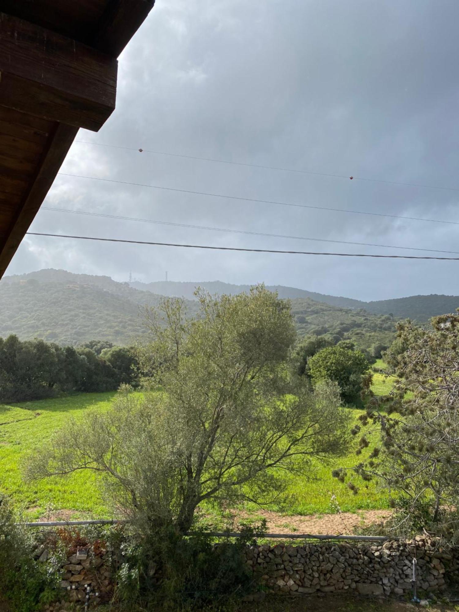 Casa Vacanza Porta Smeralda 奧爾比亞 外观 照片