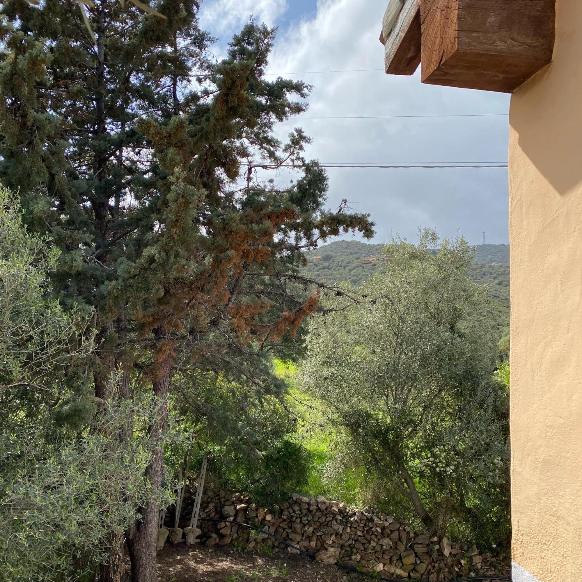 Casa Vacanza Porta Smeralda 奧爾比亞 外观 照片