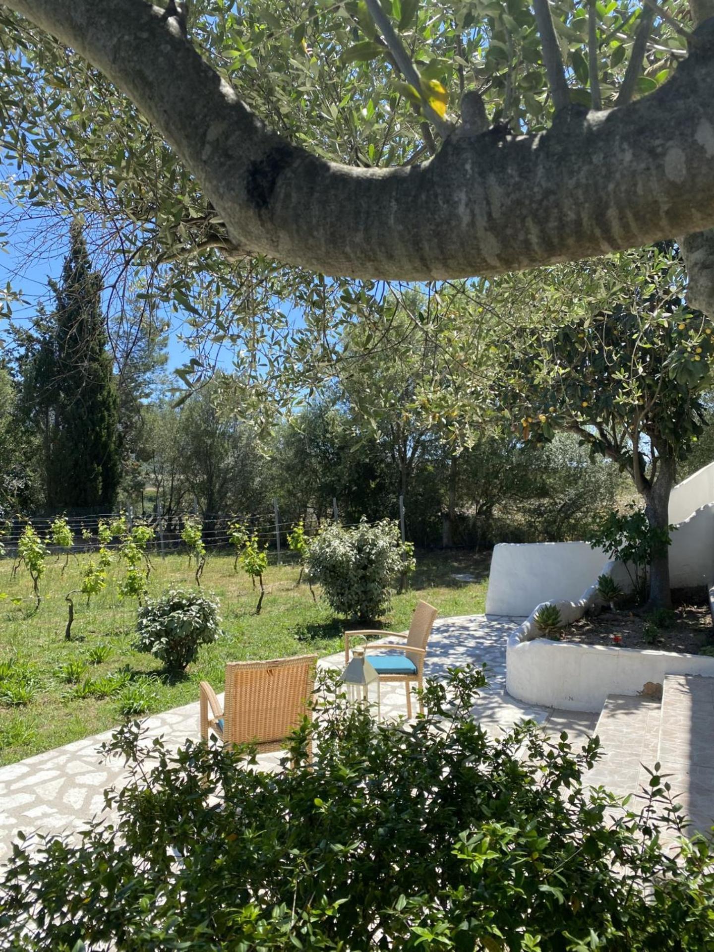 Casa Vacanza Porta Smeralda 奧爾比亞 外观 照片